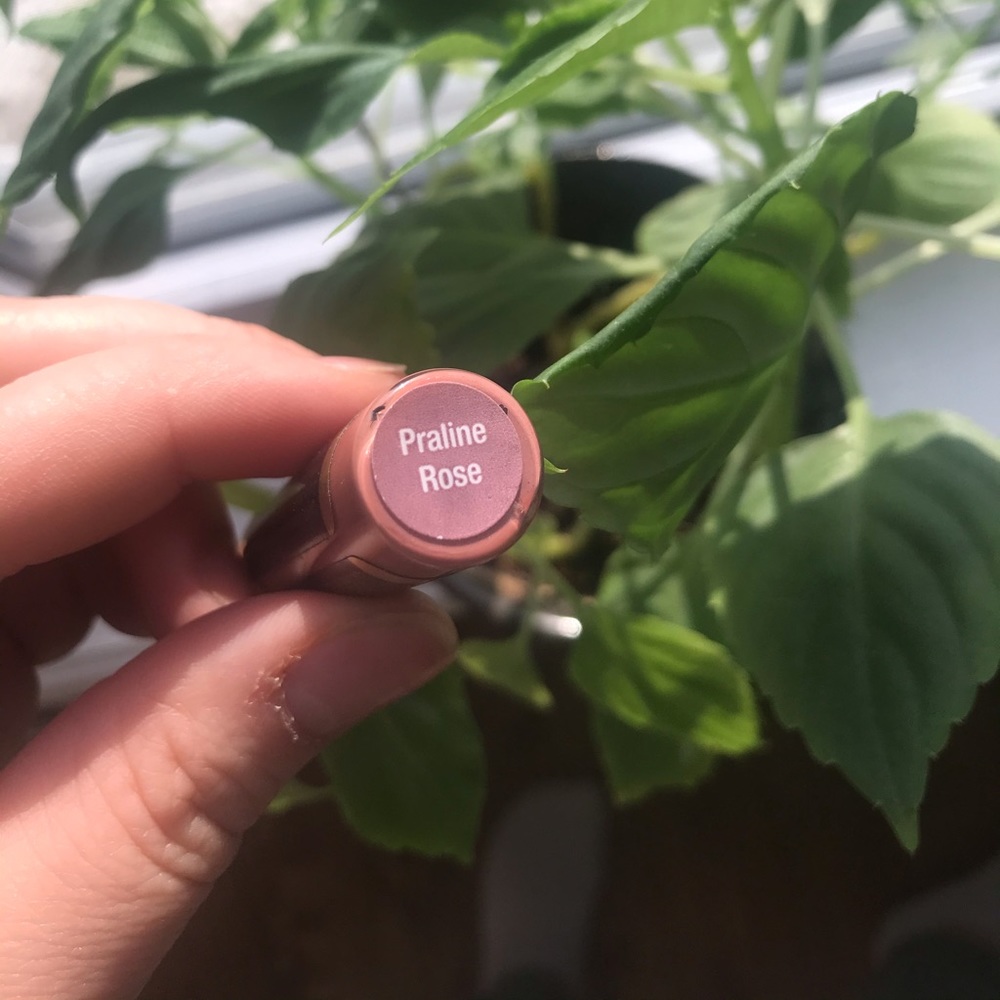 Praline Rose Lipsense